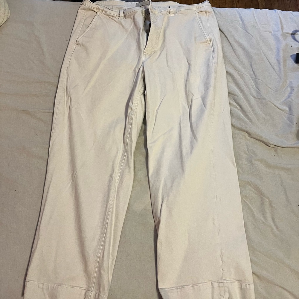 Everlane cropped straight regular size 20 color bone